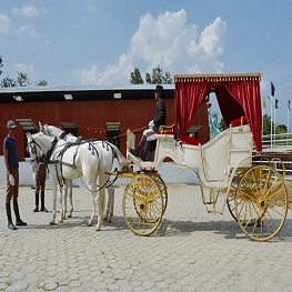 Baggi